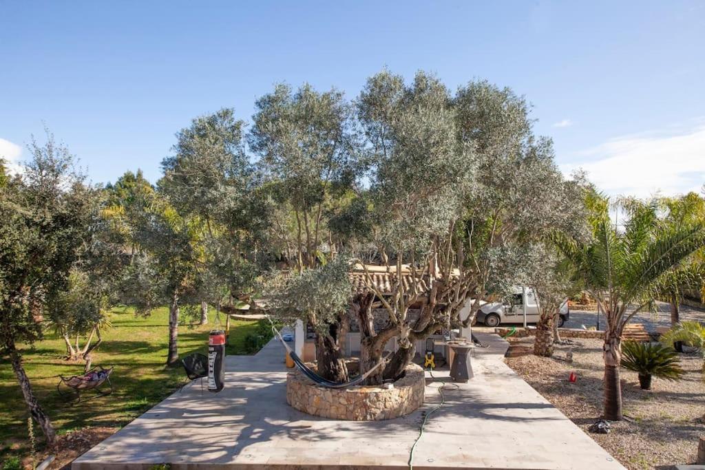 לגואה Casa Petit Paraiso מראה חיצוני תמונה